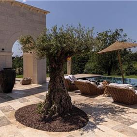 4 Bedroom Villa with Infinity Pool near Rovinj, Istria, Sleeps 8